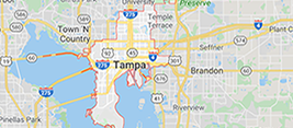 Tampa Bay Area Map